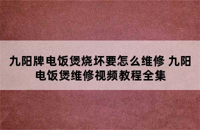 九阳牌电饭煲烧坏要怎么维修 九阳电饭煲维修视频教程全集